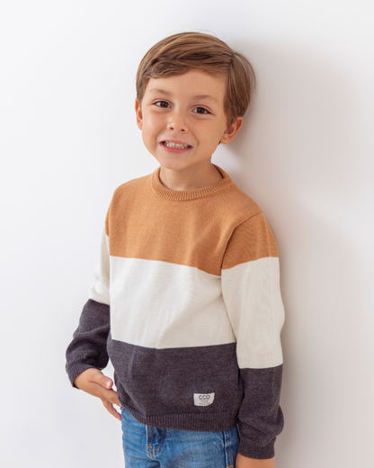 Sweater Teo Gris